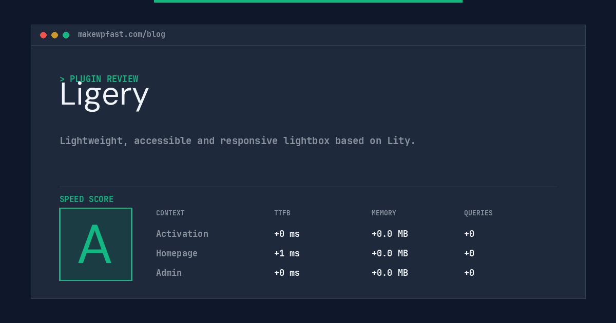 Ligery - MakeWPFast