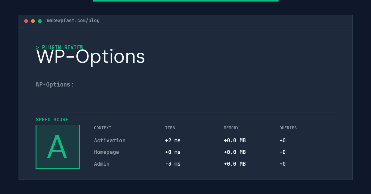 WP-Options - MakeWPFast