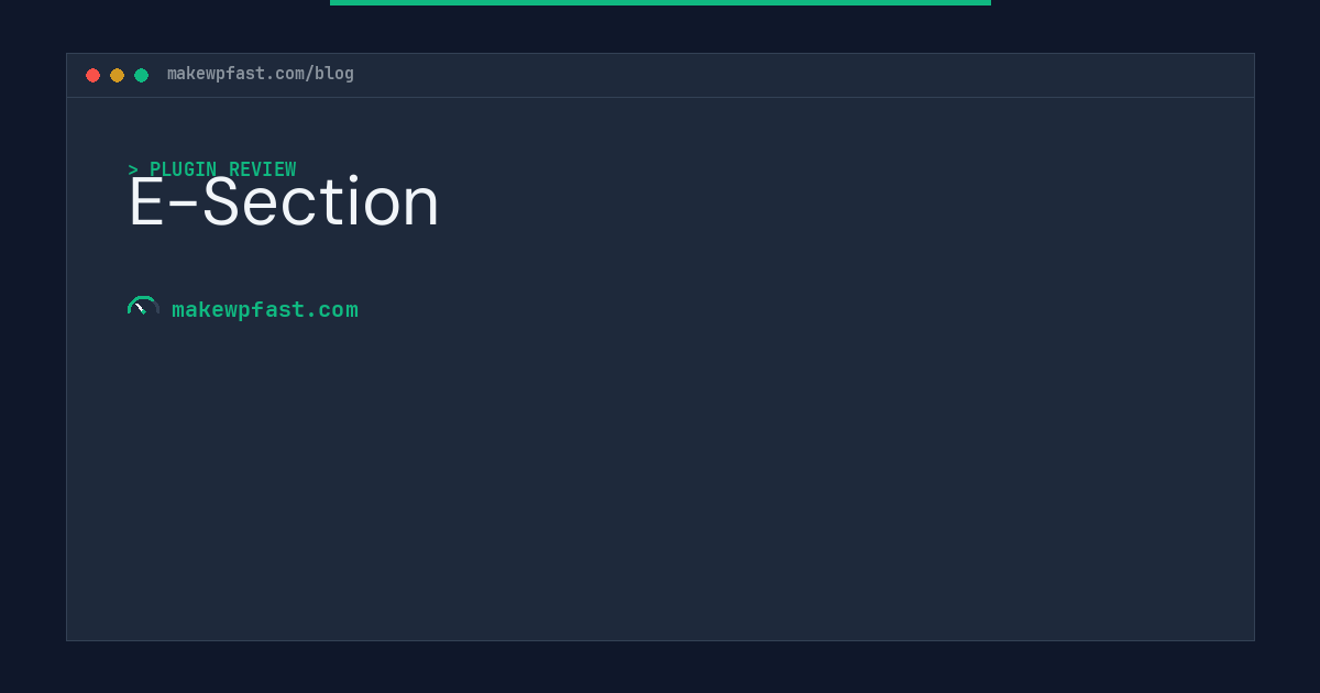 E-Section - MakeWPFast