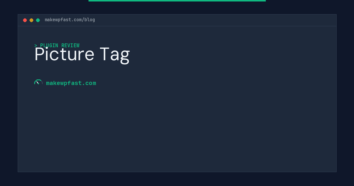 Picture Tag - MakeWPFast