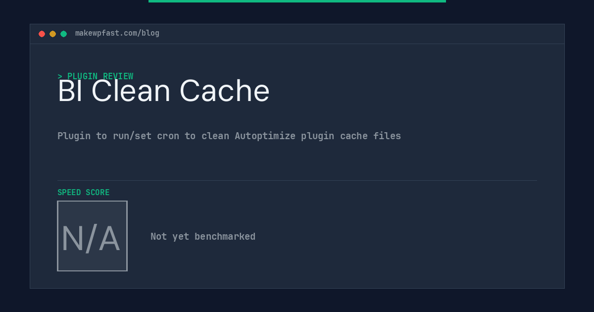 BI Clean Cache - MakeWPFast