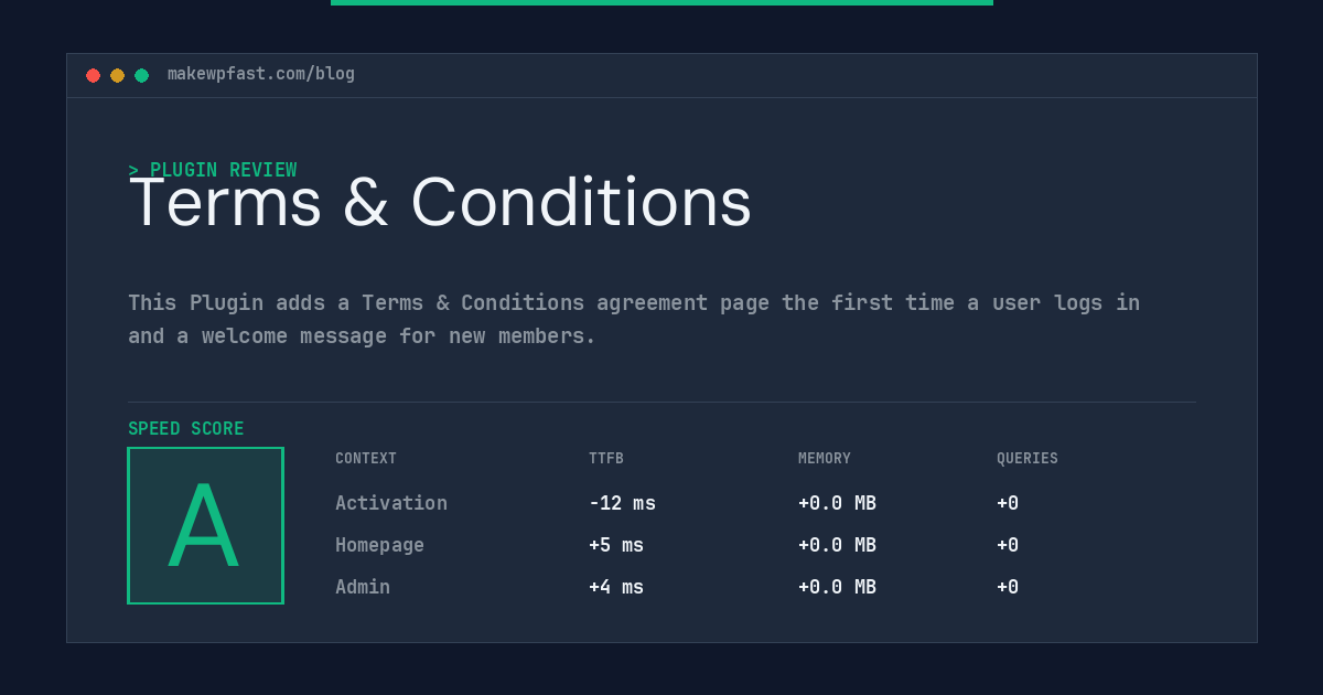 Terms & Conditions - MakeWPFast
