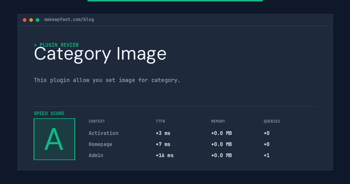 Category Image - MakeWPFast