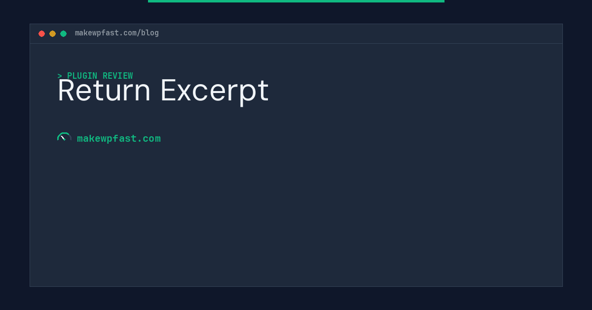 Return Excerpt - MakeWPFast