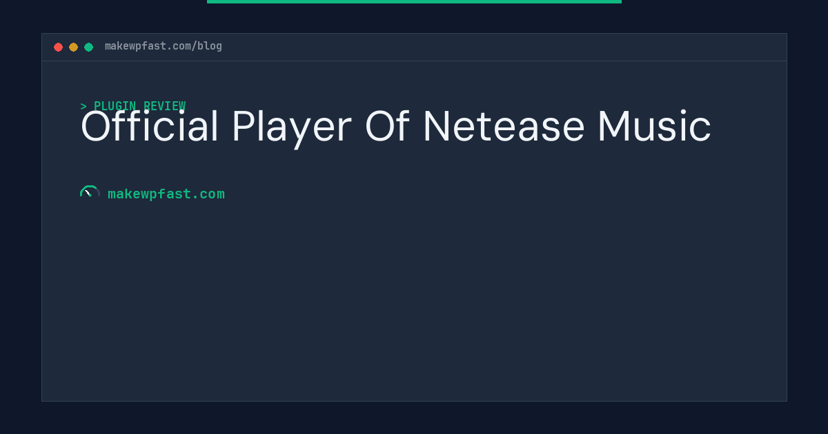 Official Player Of Netease Music - MakeWPFast