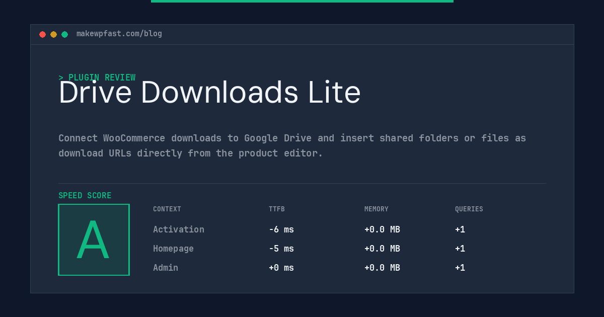 Drive Downloads Lite - MakeWPFast