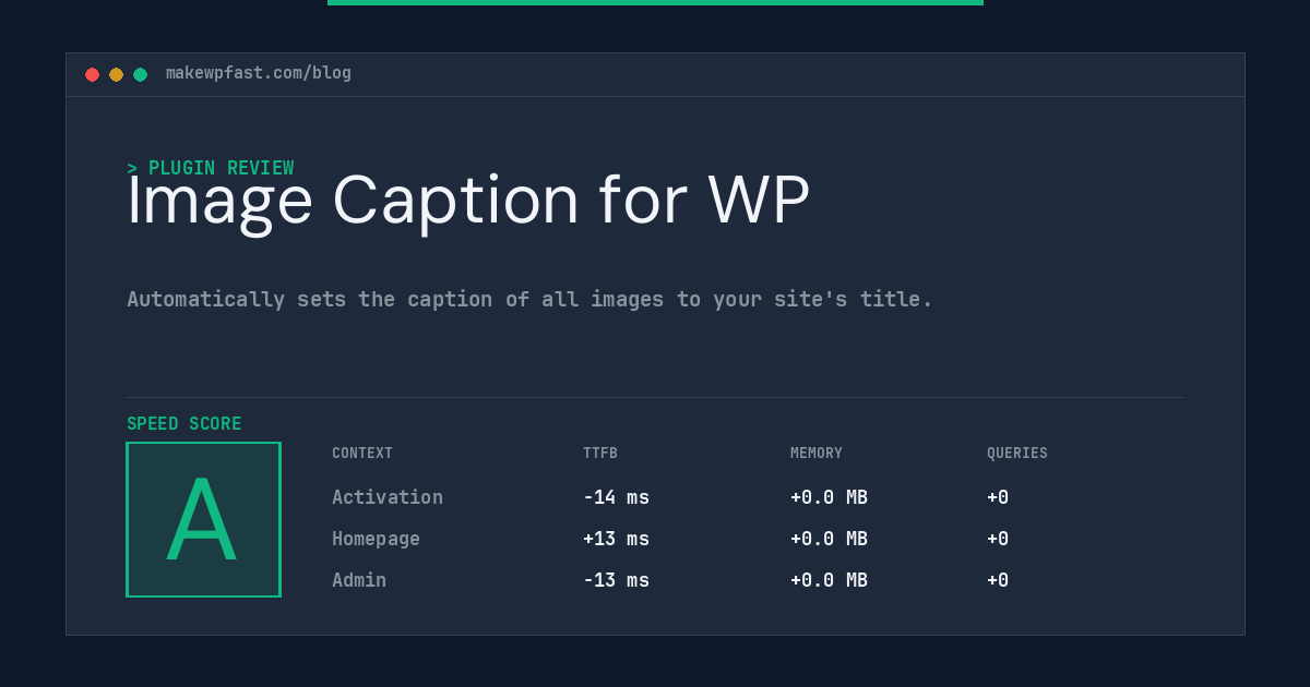 Image Caption for WP - MakeWPFast