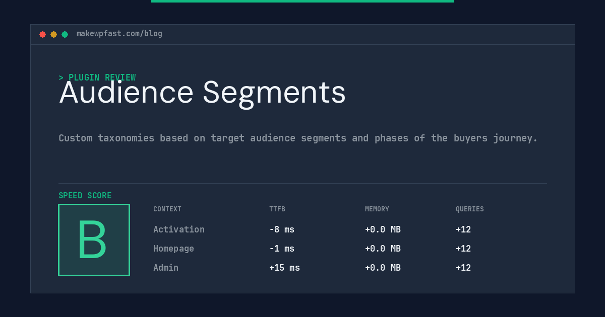 Audience Segments - MakeWPFast