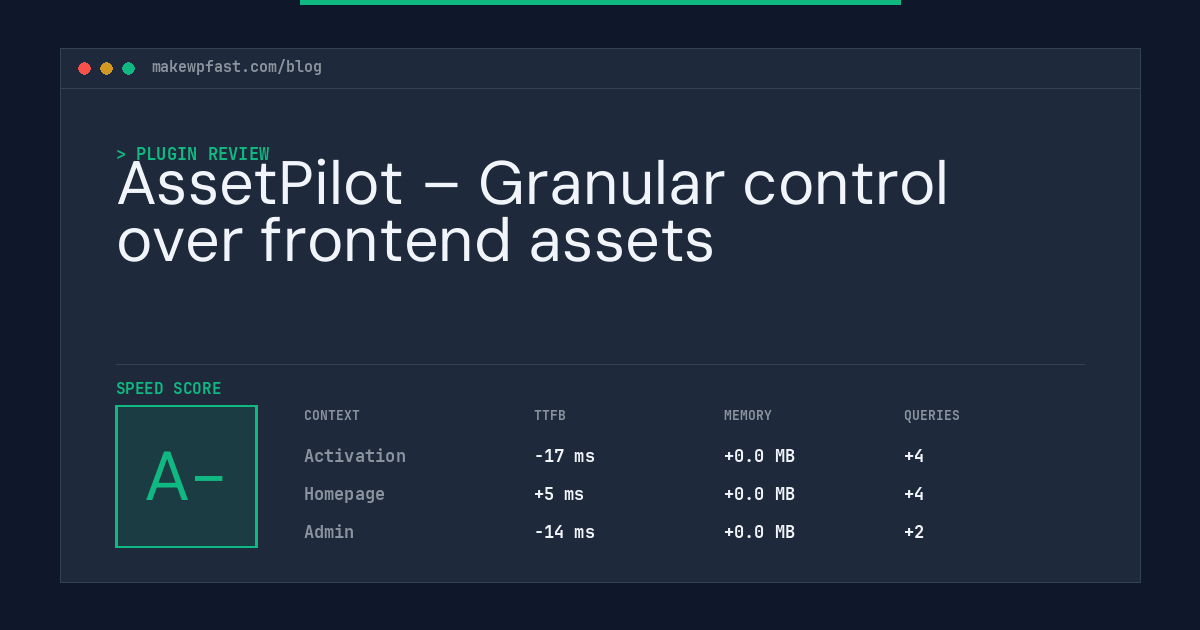 AssetPilot – Granular control over frontend assets - MakeWPFast