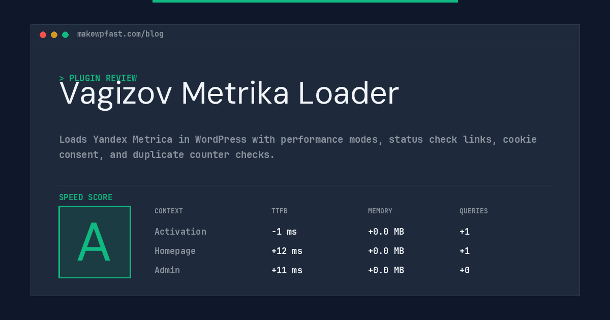 Vagizov Metrika Loader - MakeWPFast