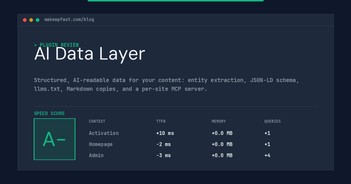 AI Data Layer - MakeWPFast
