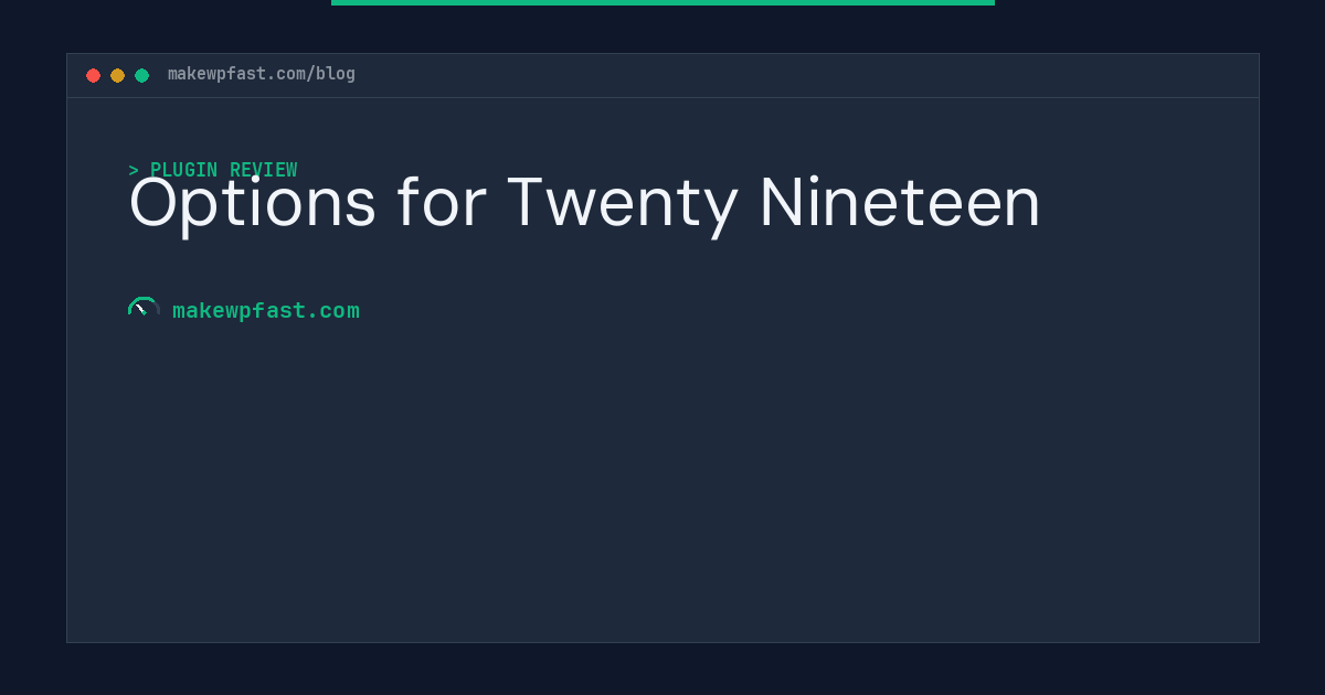 Options for Twenty Nineteen - MakeWPFast